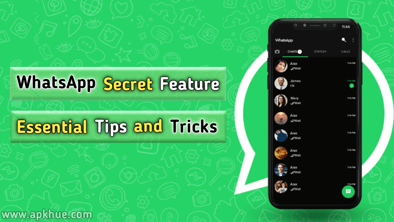 APK Hue WhatsApp’s Secret Feature and Essential Tips